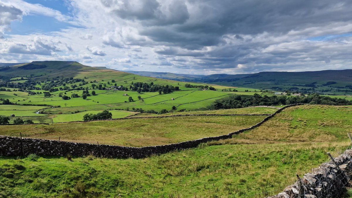 Final walk today to the summit of Addlebrough. A lovely hill that can be seen for miles around in Wensleydale. Sad to be coming home tomorrow but after more than 60 miles walked this week my legs beg to differ!