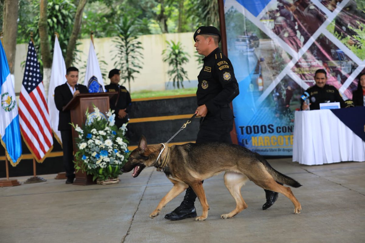 Este entrenamiento es clave para la conformación de 22 nuevos binomios K9, y refleja el compromiso continuo de estas unidades en fortalecer sus capacidades operativas.

✍🏼 <a href="/LC_DCA/">LC - DCA</a>
📸 Oscar Dávila DCA