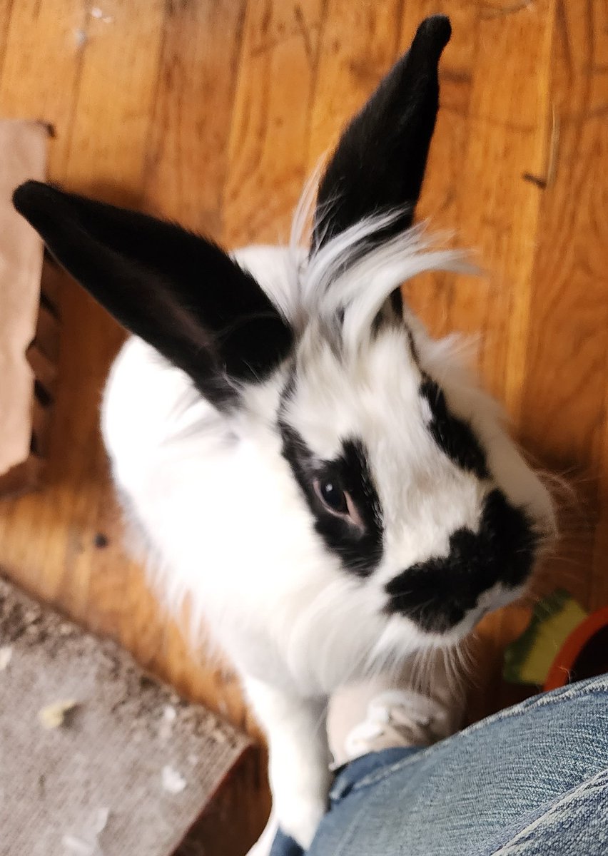 Stan is my son and I love him dearly.