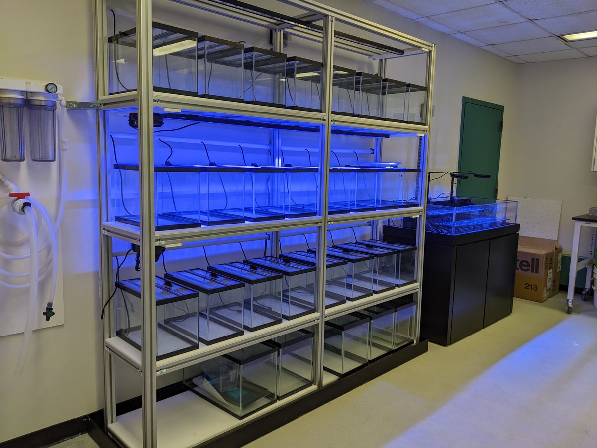 Dr. Amanda Shore tweet media