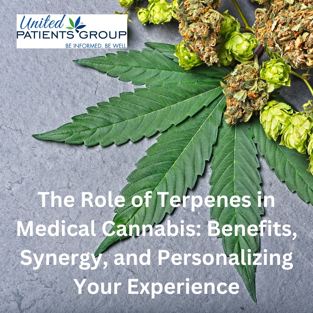 upatientsgroup's tweet photo. The Role of Terpenes in Medical Cannabis: Benefits, Synergy, &amp; Personalizing Your Experience
https://t.co/IwmYuwHjPB

#terpenes #cannabis #lavender #linalool #Myrcene #Limonene #Pinene #calming #stopandsmelltheroses #susantrapp @TrueTerpenes @TerpeneStation @queenofterps 

2m https://t.co/iFGYCSU3Ha