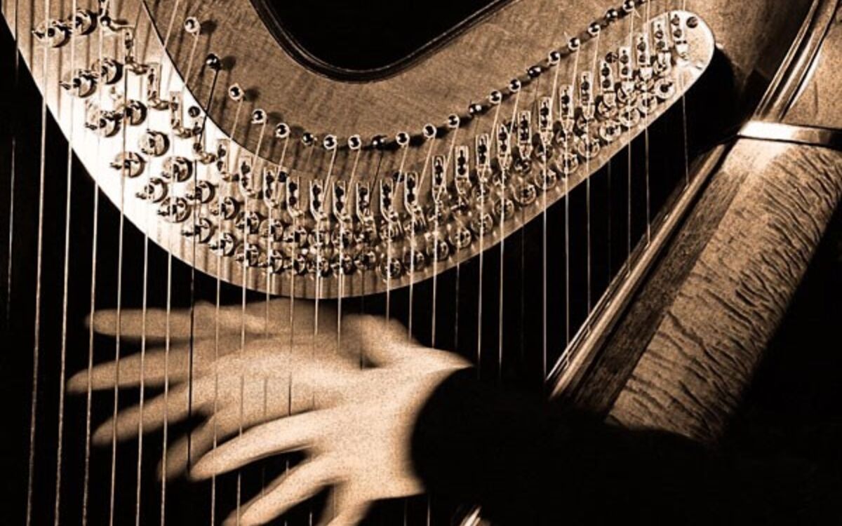 FollowParisFR's tweet photo. CONCERT CLASSIQUE RECITAL DE HARPE
Le vendredi 01 septembre 2023 de 19h00 à 20h00
#Spectaclemusical #Musique #followparis
Adresse: 10 rue Portefoin, 75003, Paris
https://t.co/XZqwKnwWeM https://t.co/DIindAy3Y7