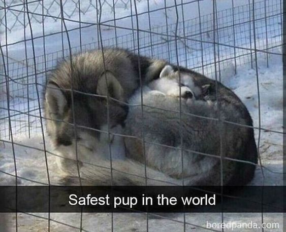 WholesomeMeme's tweet photo. https://t.co/efPGasfp1k