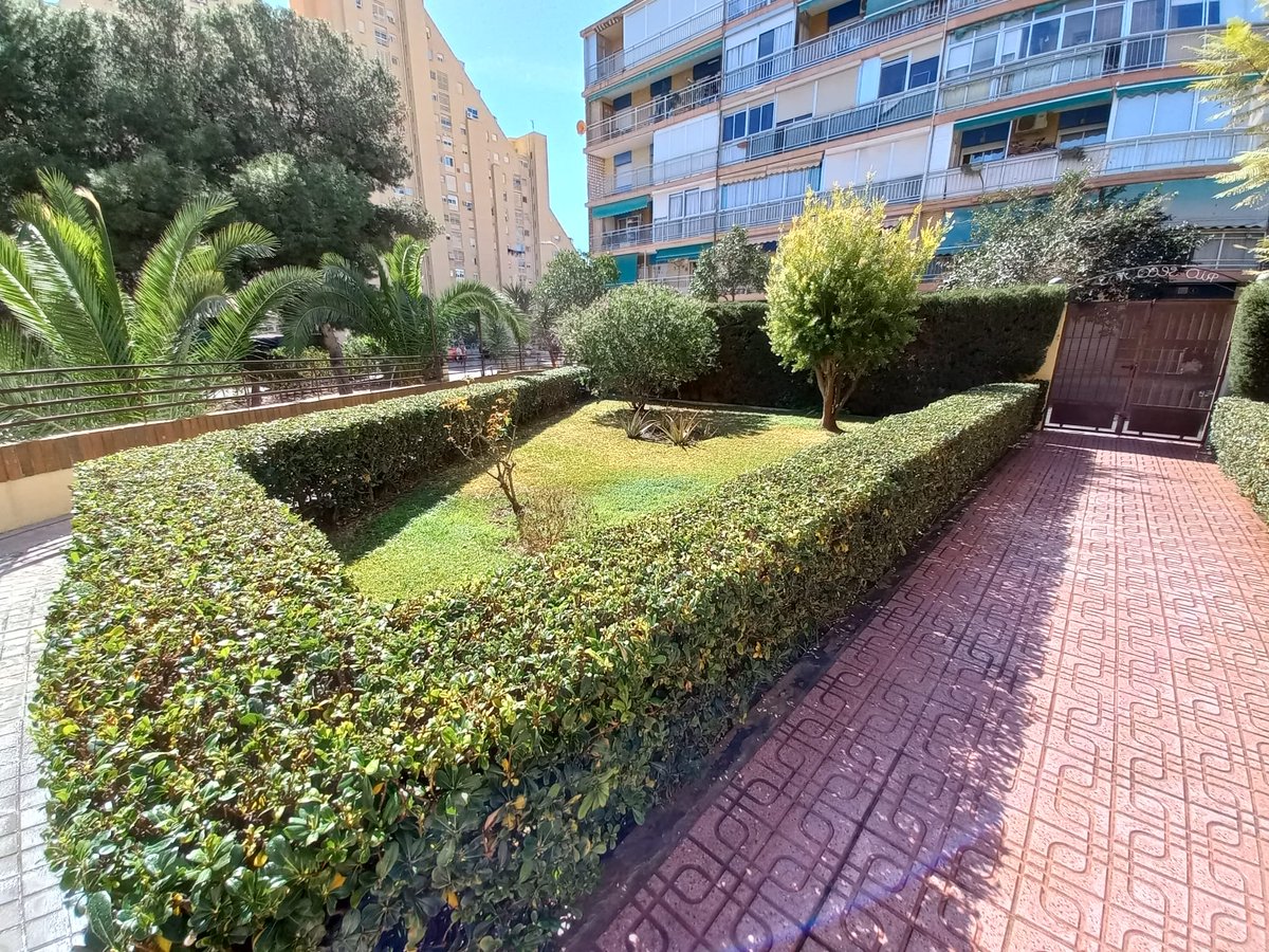 pellonabascal's tweet image. Trabajos realizados recientemente. Clientes satisfechos.📷
Seguimos! 📷
#jardinero #jardineria #plantas #natural #naturaleza #jardin #diseño #cultivo #garden #gardens #jardineros #plant #plants #vida #hogar