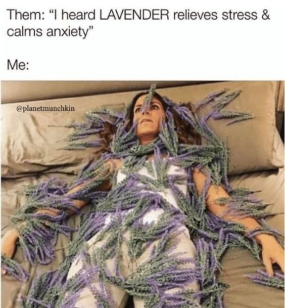 WholesomeMeme's tweet photo. https://t.co/TUZzLc264t