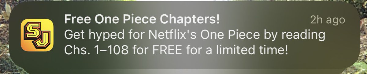 indigranger's tweet image. There has never been a better time to start one piece