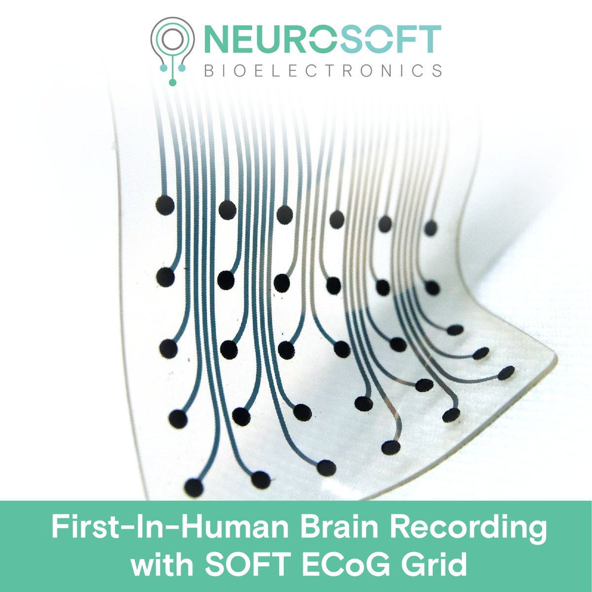 🎉 Exciting News! Our soft electrodes were tested in a first-in-human study led by Prof. <a href="/DrNTandon/">Nitin Tandon</a> at <a href="/UTHealthHouston/">UTHealth Houston</a> <a href="/memorialhermann/">Memorial Hermann</a>. We recorded brain activity from 3 patients, a major milestone towards the development of our innovative #BCIs! 🧠 

lnkd.in/eXFxPNa2