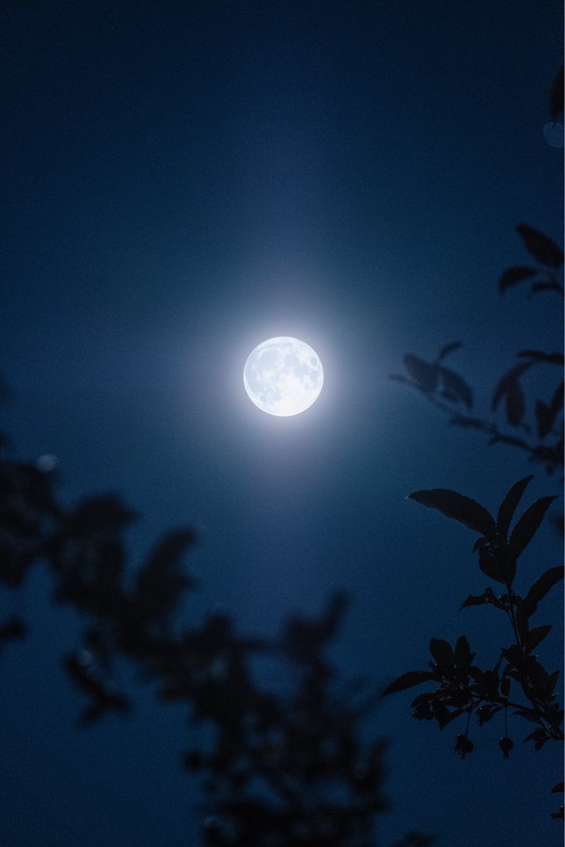 VSCO tweet media