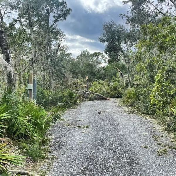 travelingrobert's tweet photo. First images out of Pelicamp. It seems we got very lucky. Some downed trees, some of my favorite, but the OG Minitini seems to be unscathed. #hurricaneidalia #perrystrong #wewillrebuild #pelicamp #minitini #travelingrobert #freeinmyrv #rvtravel #Winnebago https://t.co/3vFoarFthl https://t.co/kYkyqTJQu4