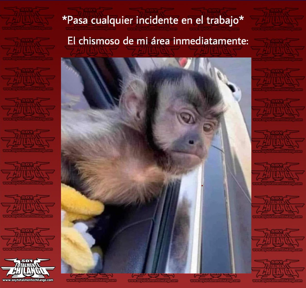 Suele pasar!
.
.
.
.
.

#SoyTotalmenteChilango    #meme    #memes    #humor    #cdmx    #ciudaddemexico    #chilango    #chilanga    #chilangos    #México