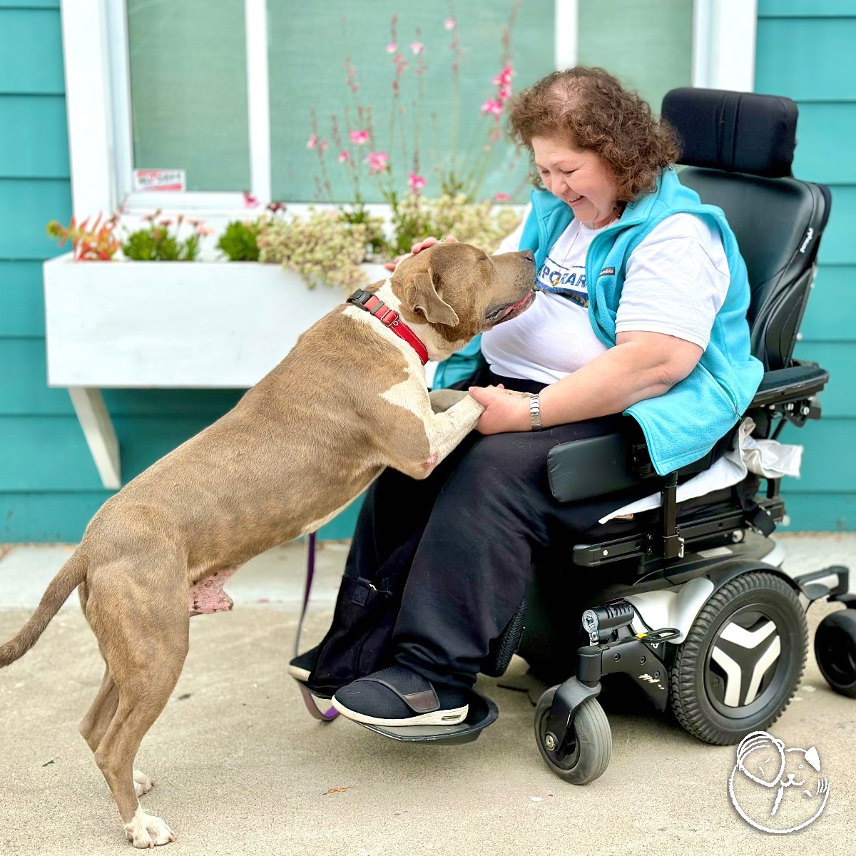 peace_rescue's tweet photo. This week's #HelpingPaw 🐾 goes to Gabriela and Ziggy. Due to a herniated a disc in his spinal cord, Ziggy couldn't use his hind legs. Luckily, we were able to provide laser therapy to Ziggy as Gabriela was struggling to afford the treatment. He's already doing so much better! https://t.co/vjUxqUg7LM