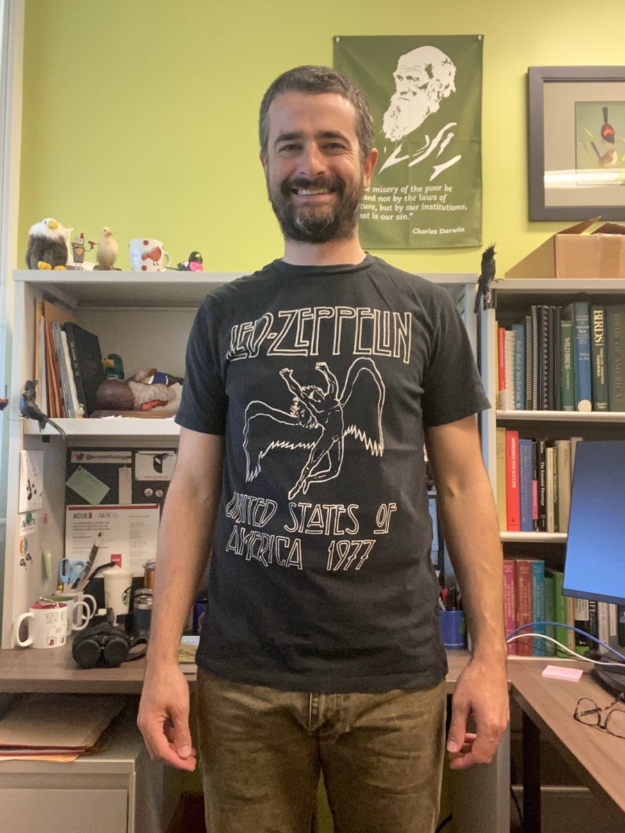 Dan Baldassarre tweet media