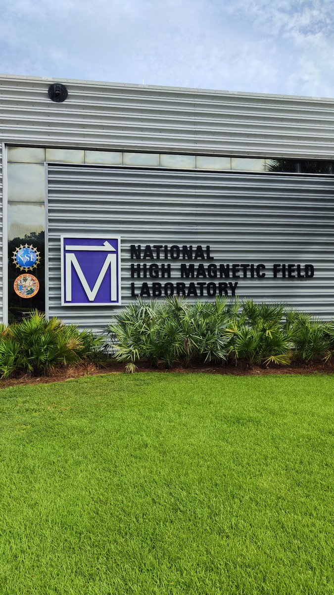 I returned as user visitor to the National High Field Magnetic Lab (NHMFL) after 16 years, where Hurricane Idalia forced us to take a one-day break while measurements continued at full speed. Luckily, we survived unscathed and are now resuming the measurements 10 days more✌☀