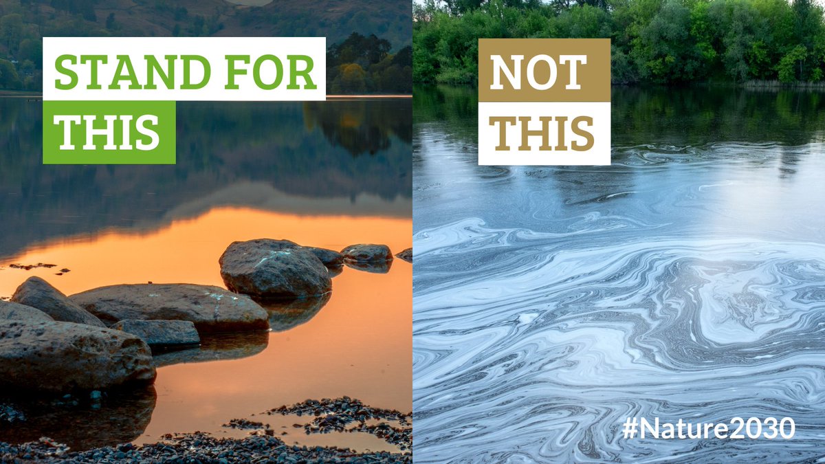 Some politicians are turning their backs on the environment, at a time when action is most needed. We’re calling on politicians to keep their promises for nature 💚 Join our #Nature2030 calls to restore nature & fight climate change 👇 wtru.st/Nature2030
