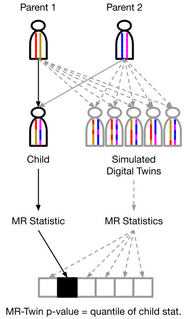 Excited that our new manuscript is out at <a href="/genomeresearch/">Genome Research</a>! We develop a family-based Mendelian Randomization (MR) test that is immune to confounding from population stratification, assortative mating, dynastic effects, &amp; weak instrument bias! A short 🧵
dx.doi.org/10.1101/gr.277…