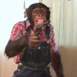 Niche Gamer tweet media