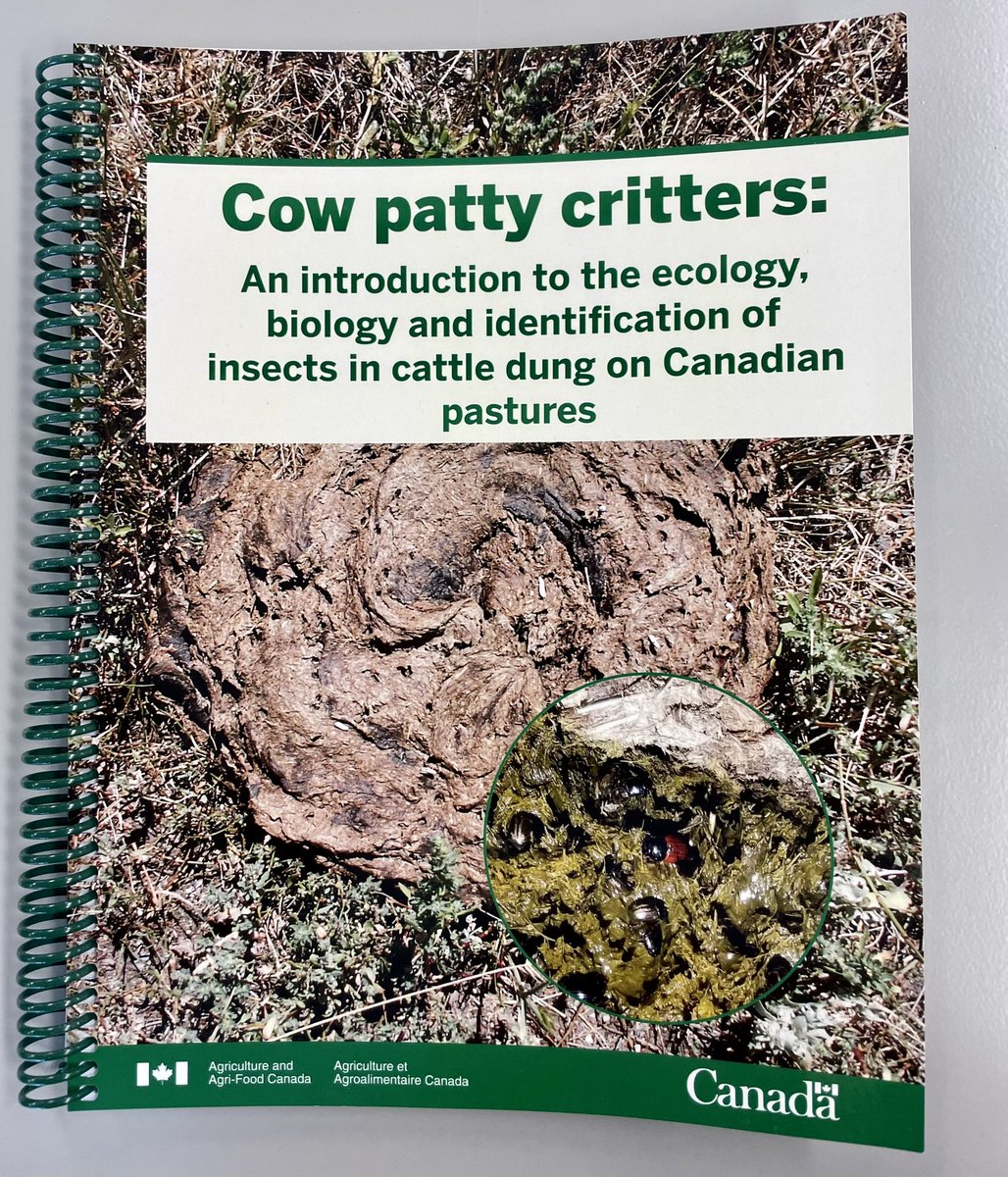 306TriciaWard's tweet photo. Remember as a kid how exciting it was when your Scholastic book order came in? Got to experience that feeling again today when I found this hot off the press copy on my desk. @AAFC_Canada @FloateKevin #saskag #saskcattle https://t.co/KW2A5GqkDy