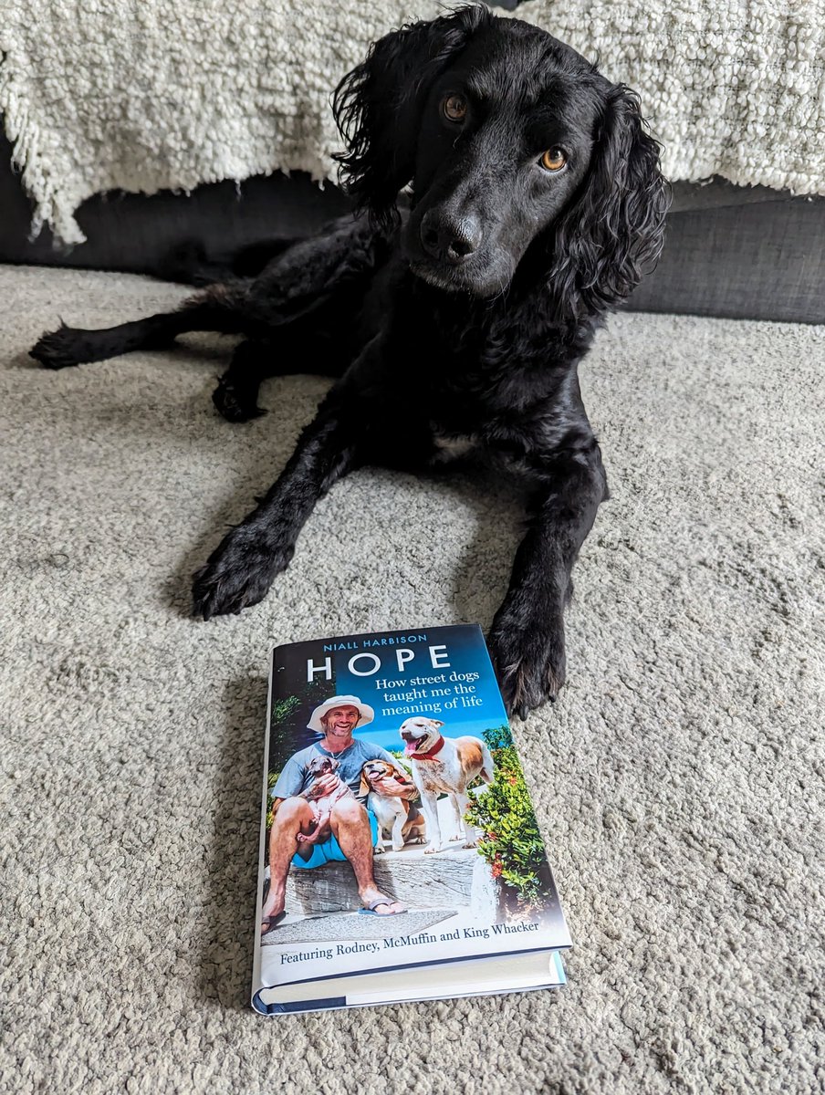 Charlee_G's tweet photo. @ClaudiaBryan01 @NiallHarbison We got our copy today! https://t.co/2cG5uGrRRn