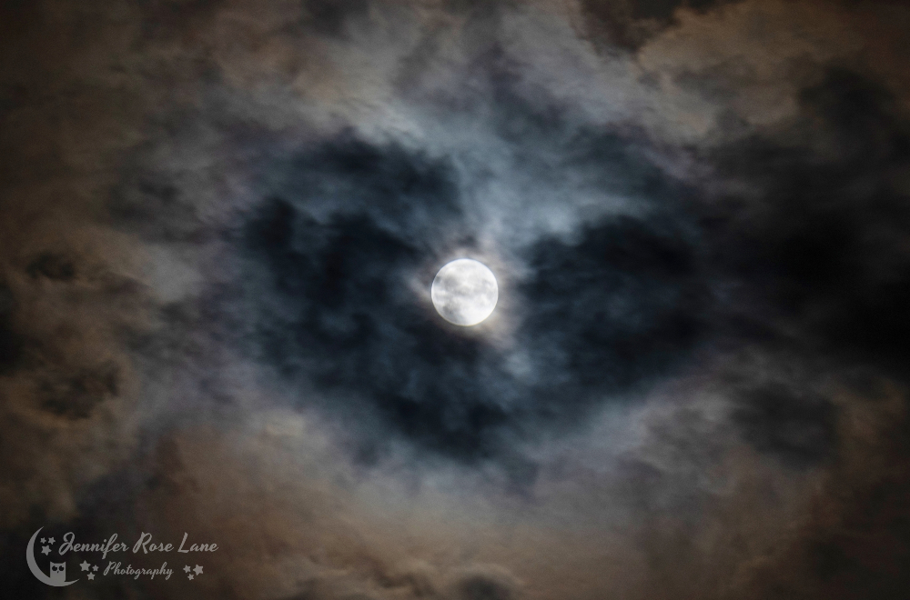 Jens_Starry_Sky's tweet image. The "blue" moon wrapped in a big black heart (cloud) 🖤🌕 #CloudyMoon #FullMoon #BlueMoon #WV #weather #WVweather @StormHour @ThePhotoHour @MoonHourSocial