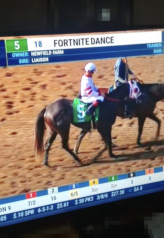 where is his uma musume