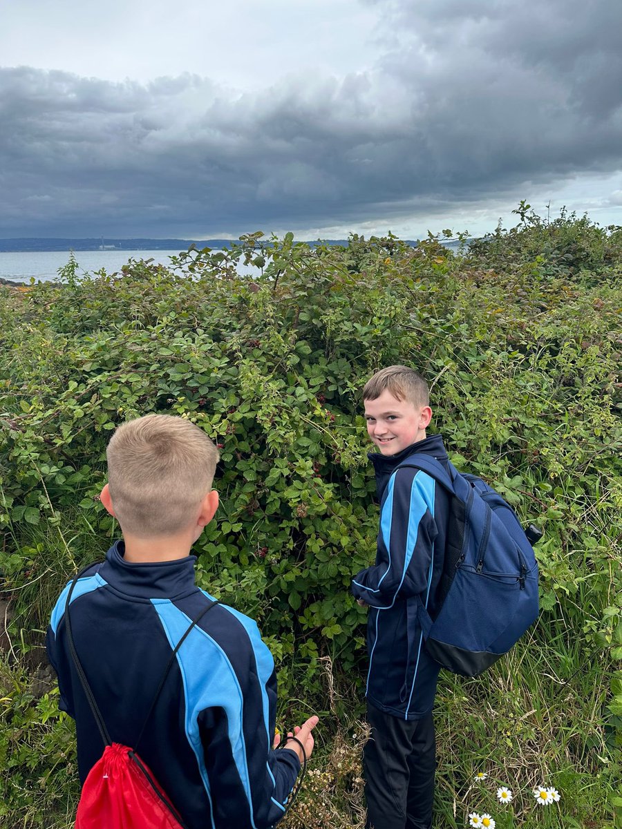English_BASFC's tweet photo. Year 8 and 14 sponsored walk; raising school funds, bonding and a snippet of Heaney. 

“Late August, given heavy rain and sun
For a full week, the blackberries would ripen.
At first, just one, a glossy purple clot
Among others, red, green, hard as a knot.” https://t.co/JBnXxUFnaj