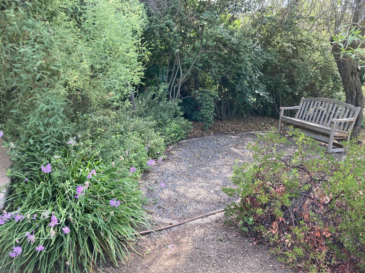 Jeannette Warnert tweet media