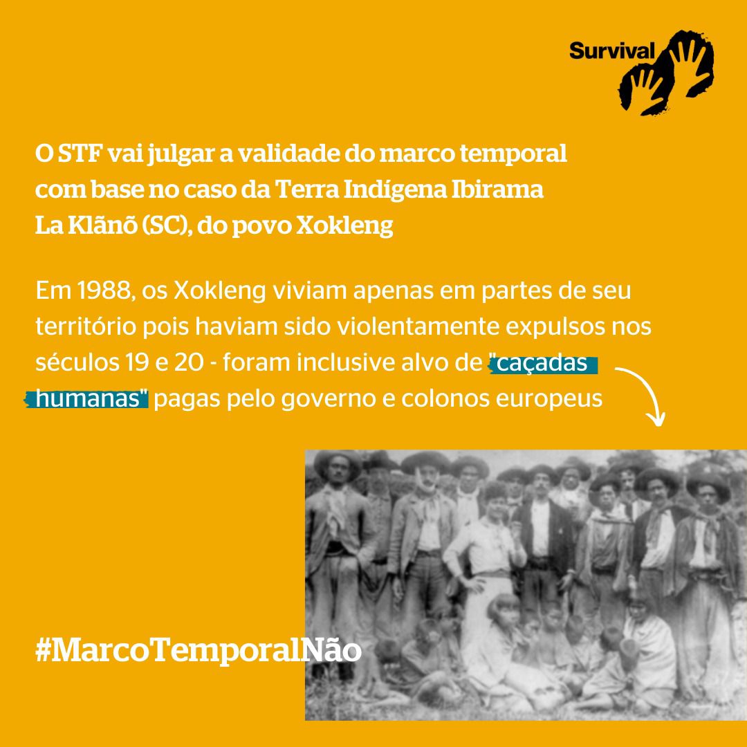 Frente Internacional Brasileira - FIBRA tweet media