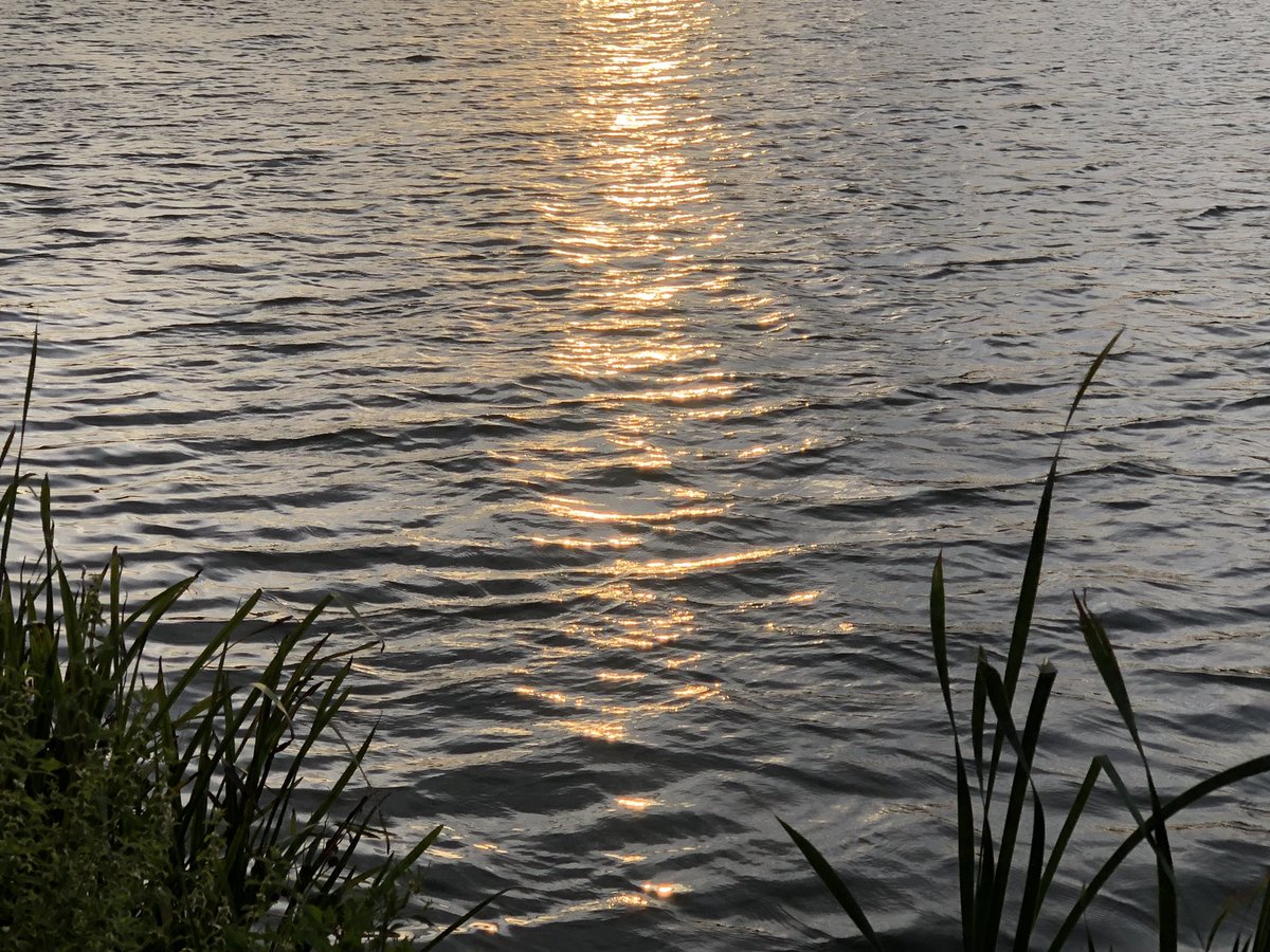 Corinne Jadart tweet media