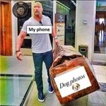 Photo by Dog Friendly Scene (@Dog_F_Scene)