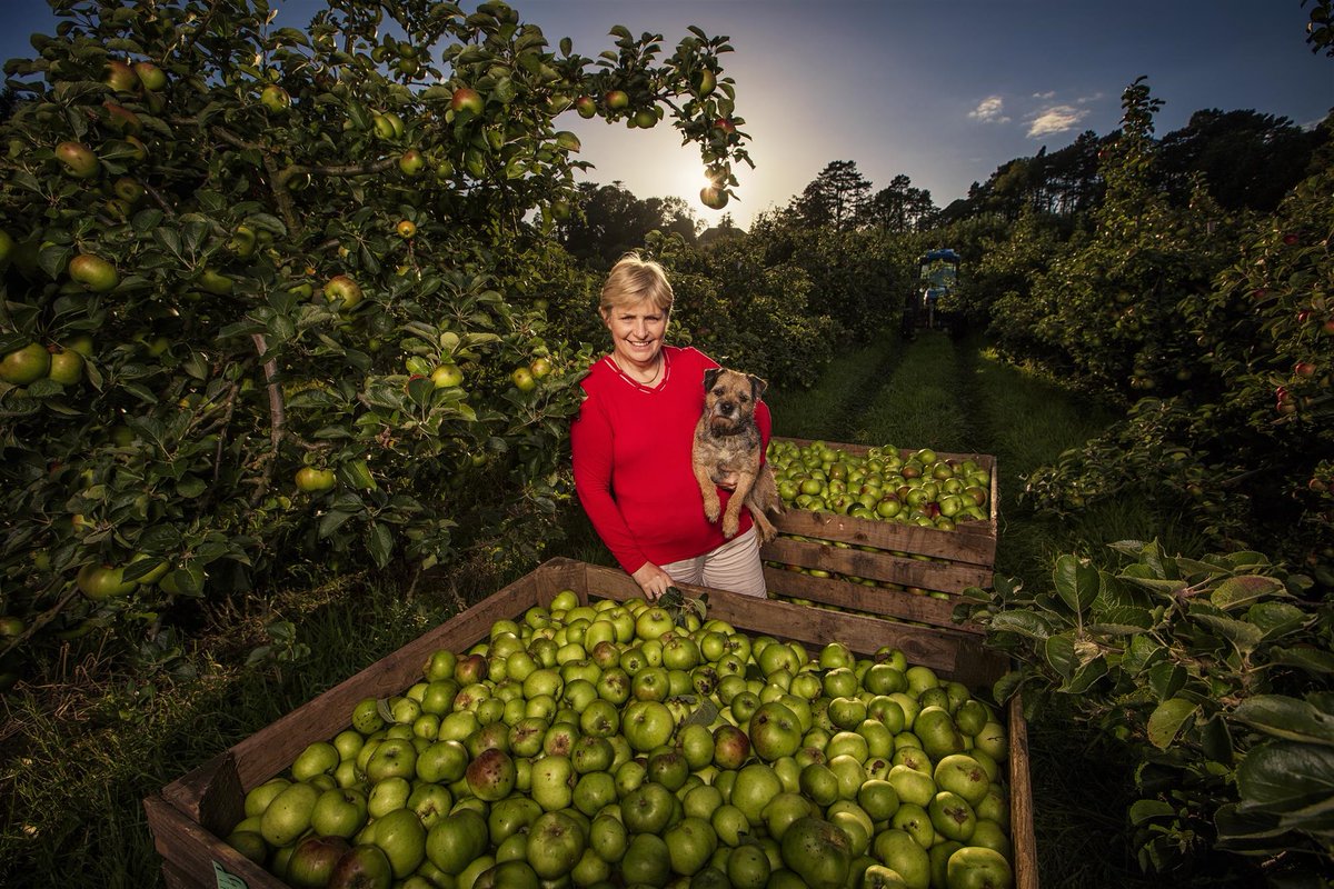 Visit Armagh tweet media