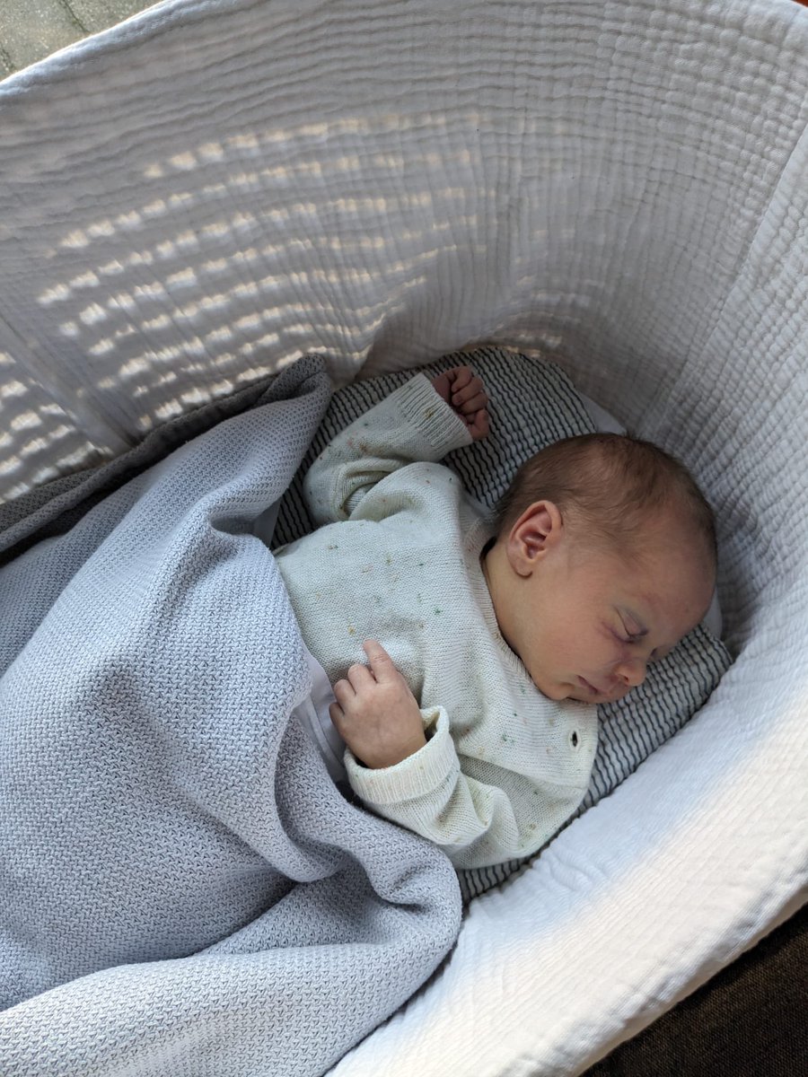 Jan Pool tweet media