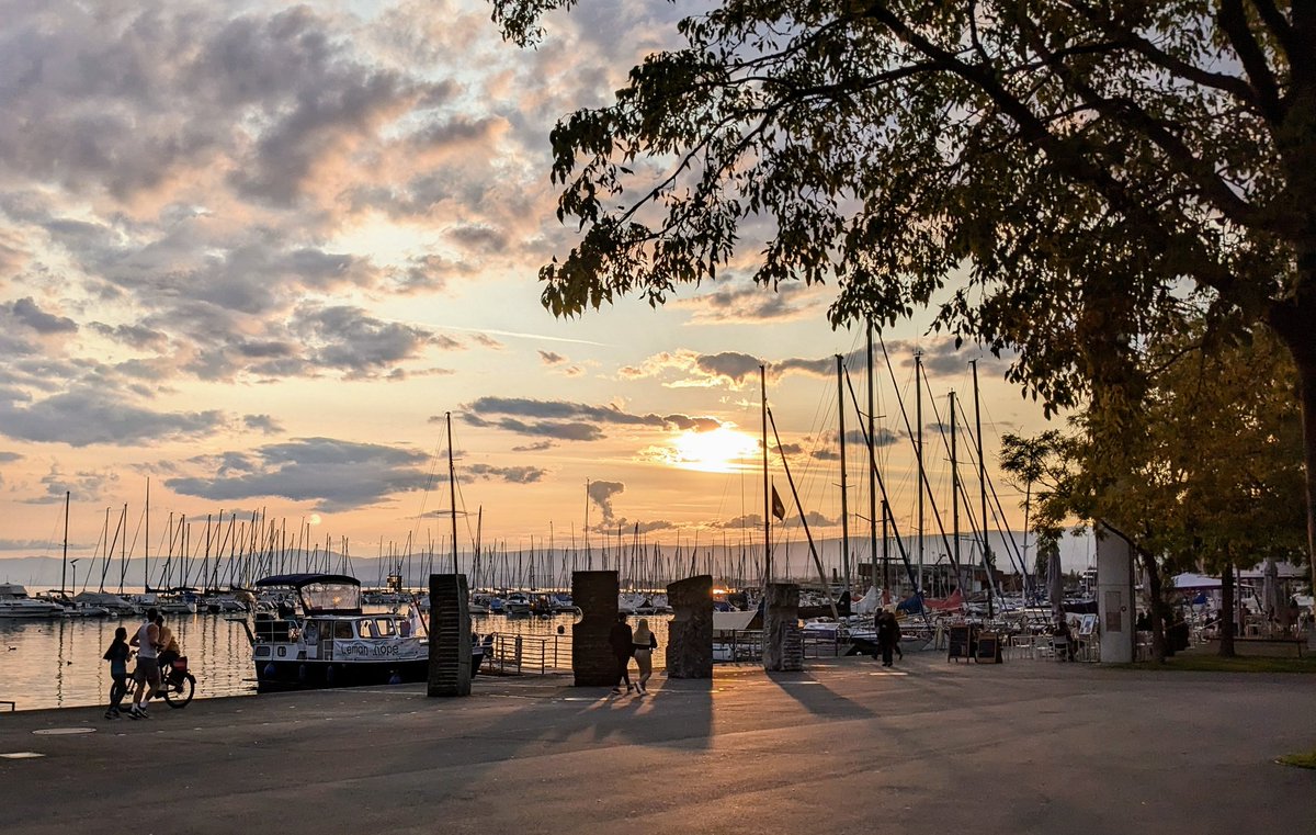 Very satisfying end of a great congress of the Swiss Society for Microbiology - for our work in research, teaching, and outreach at <a href="/biozentrum/">Biozentrum, University of Basel</a> + <a href="/ETH_en/">ETH Zurich</a> I received the society's big prize ("Encouragement Award"). Many thanks to my group, mentors, and all friends for the support!
