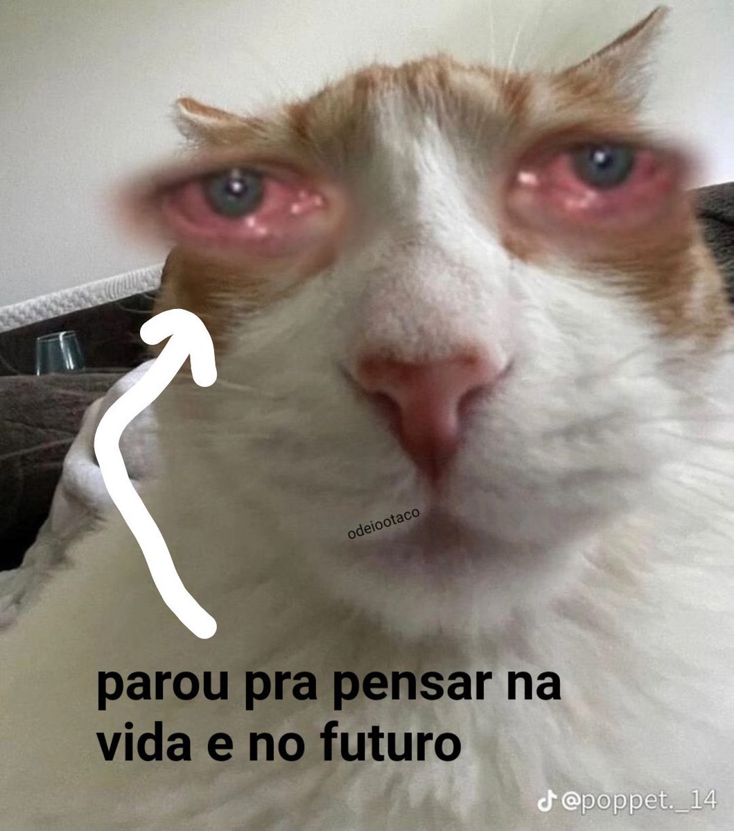 odeiootaco's tweet photo. https://t.co/5tf6GmjETp