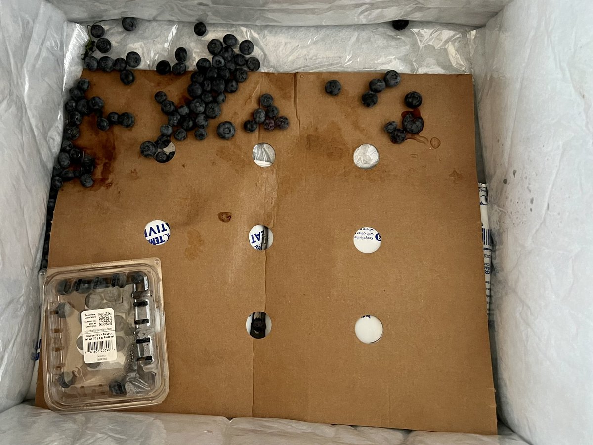 RealRichardT's tweet photo. Hey @misfitsmarket who taught you how to pack groceries??
No wrapping for the produce, blueberries and cherry tomatoes UNDER the freezer bag, a ripped open freeze back AND broken eggs… https://t.co/sjnvBlHLrX