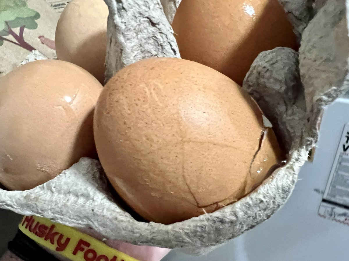 RealRichardT's tweet photo. Hey @misfitsmarket who taught you how to pack groceries??
No wrapping for the produce, blueberries and cherry tomatoes UNDER the freezer bag, a ripped open freeze back AND broken eggs… https://t.co/sjnvBlHLrX