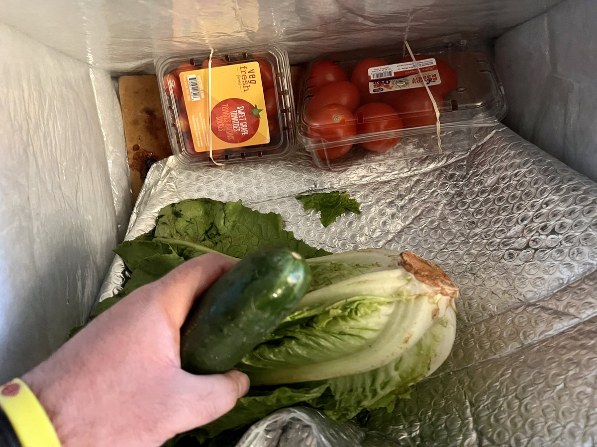 RealRichardT's tweet photo. Hey @misfitsmarket who taught you how to pack groceries??
No wrapping for the produce, blueberries and cherry tomatoes UNDER the freezer bag, a ripped open freeze back AND broken eggs… https://t.co/sjnvBlHLrX