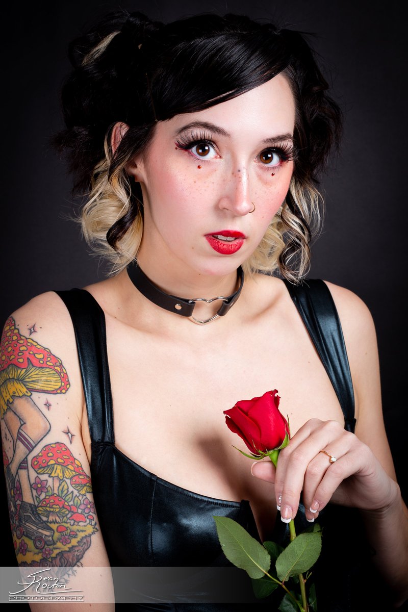 SeanRouton's tweet photo. Model: Hillary
Photographer:
@seanrouton
#virginiamodel #roanokemodel #lynchburgmodel #virginiaboudoir #boudoir #glamour #modelportfolio #modelphotographer #modelva #lingeriemodel #virginialingerie #photoshoot #photography #virginiaphotographer #roanokephotographer #rose https://t.co/pom2gDuyg5
