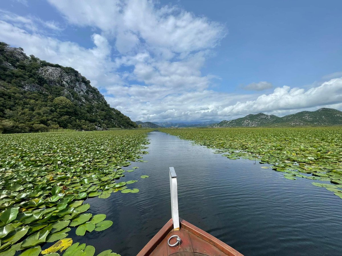 lillapszabo's tweet image. Research is good, research by the Adriatic Sea is jolly good, so I set up business in lovely Montenegro for a couple of days. ⛰️🌊 #workvacay