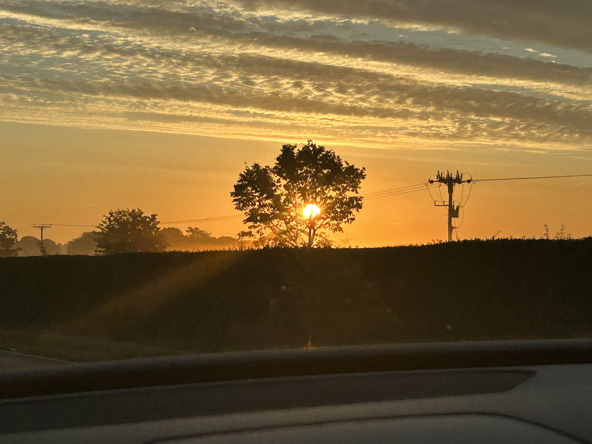 PowellCaroline's tweet image. Morning delights ❤️