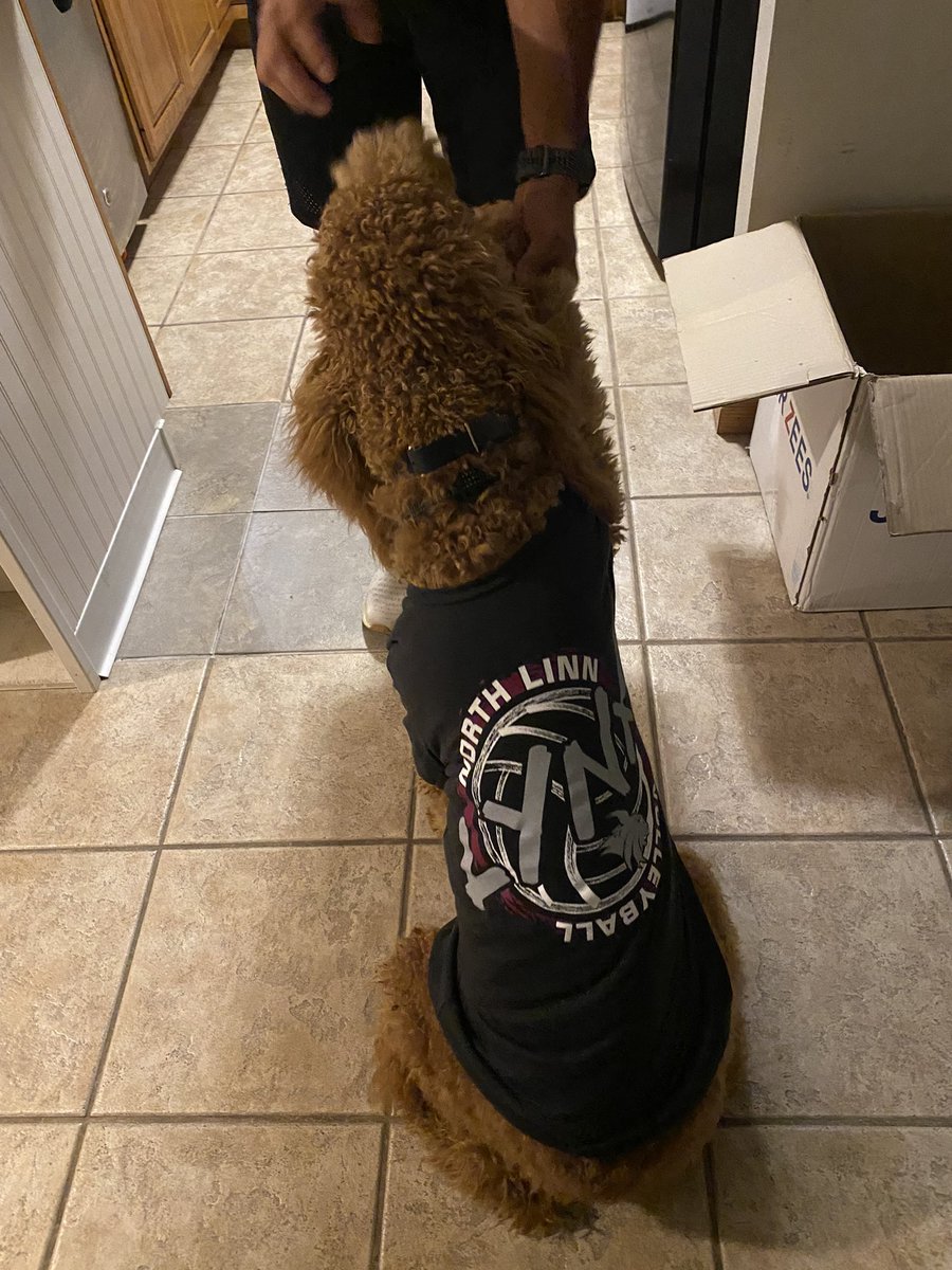 North Linn Volleyball tweet media