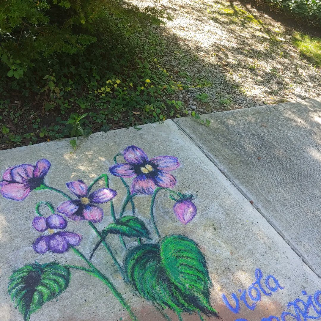 ThatBronaghOne's tweet photo. New #chalkart in Old South
If you know me, you saw this one coming 💜
#violet #violasororia #wildviolet #art #artist #drawing #wildflowers #flowers #chalkartist #chalkdrawing #drawing #ldnont #chalkwalk #ArtistOnTwitter https://t.co/5nrfvz2It9