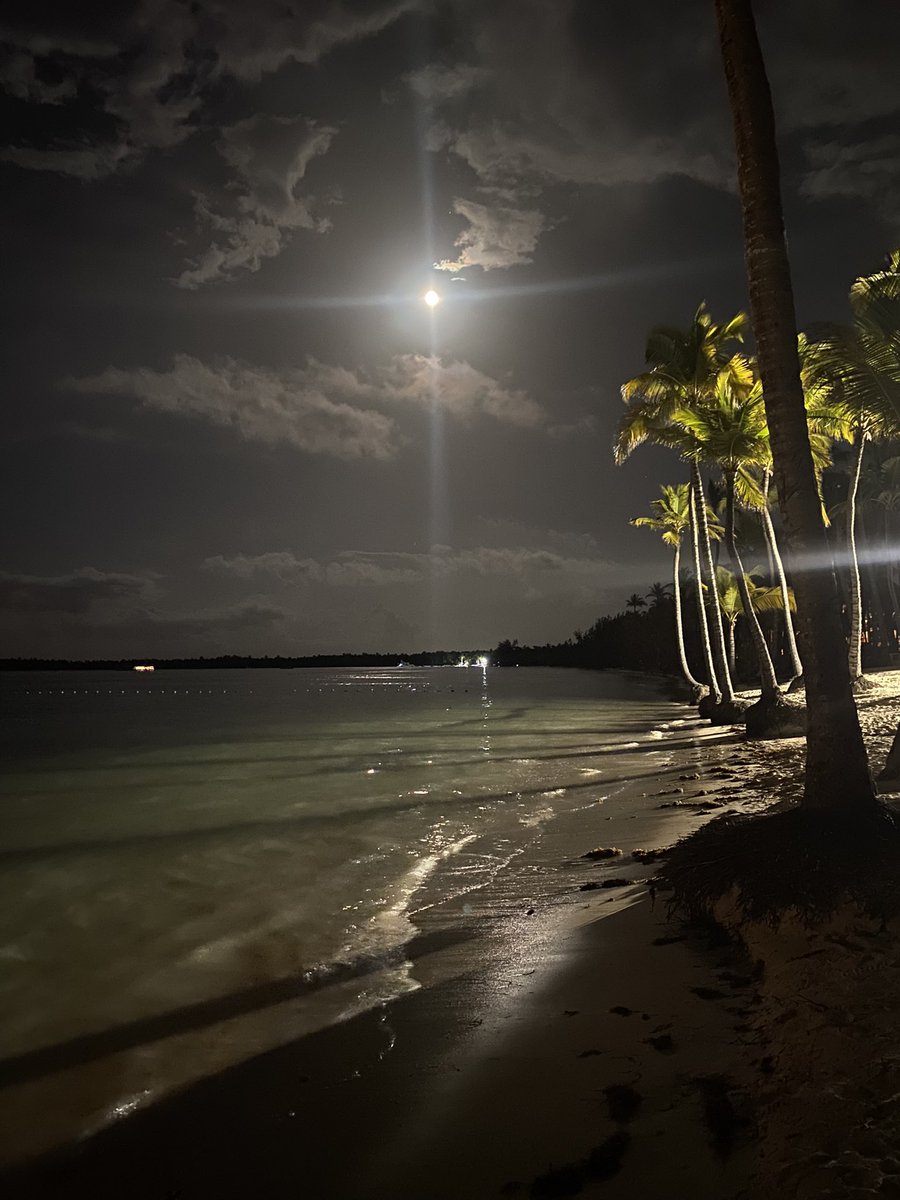 CathyGrant20's tweet photo. @DavidAmber From Dominican Republic.  🌝 🌞 https://t.co/IAIgLUr16X