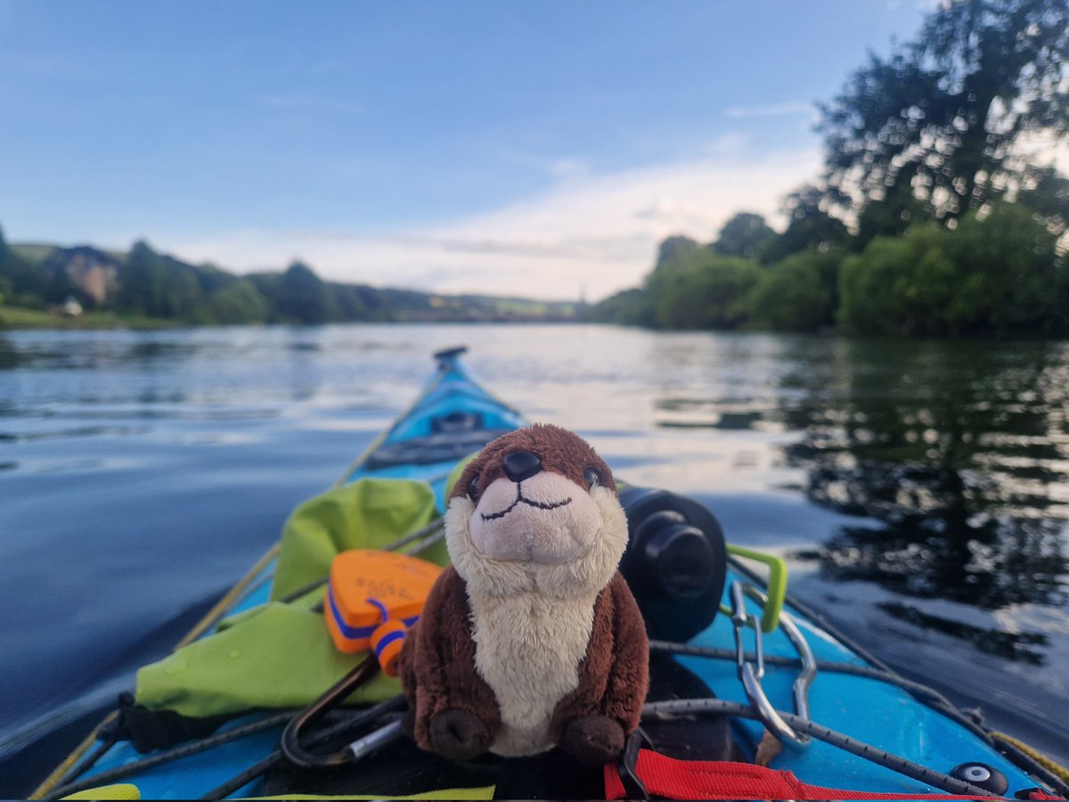 Medicinal yoga & kayaking today.
Lovely paddle up the River Tay. Lots of fish jumping & birdlife on the water, including 3 Kingfishers...or the same one being very busy.
Possible beaver splash.
Something cool about paddling through a city.
#ShePaddles
#IBelongOnTheWater