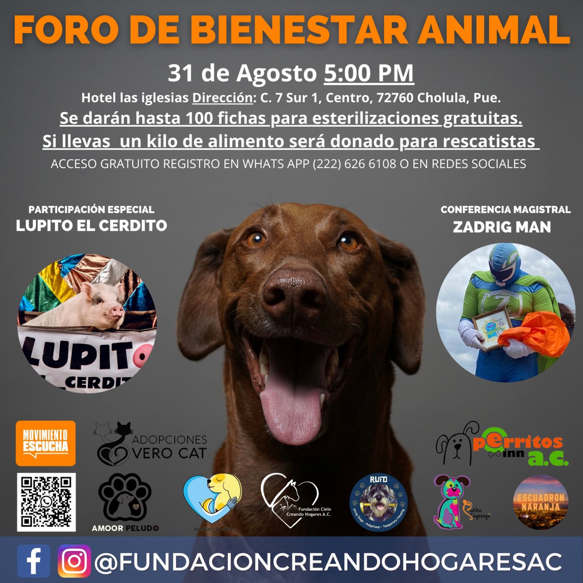 erickbecerra1's tweet photo. ¡Te esperamos!
🐶🐱🐾Foro de Bienestar Animal
"Un Espacio para la Defensa y Cuidado de Nuestros Amigos de Cuatro Patas"🐾
🗓 31 de Agosto.
🕔 5:00 PM.
📍Hotel Las Iglesias.
#AmorPorLosAnimales #BienestarAnimal #ForoAnimal https://t.co/5cqKUDxKqB