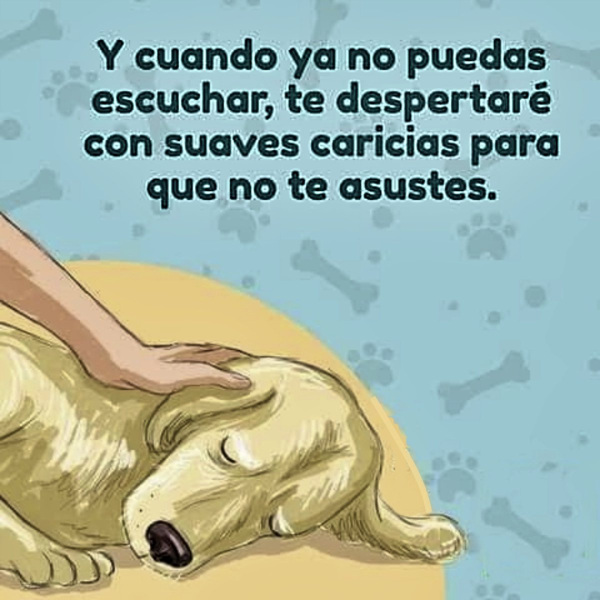SOS Abuelos tweet media
