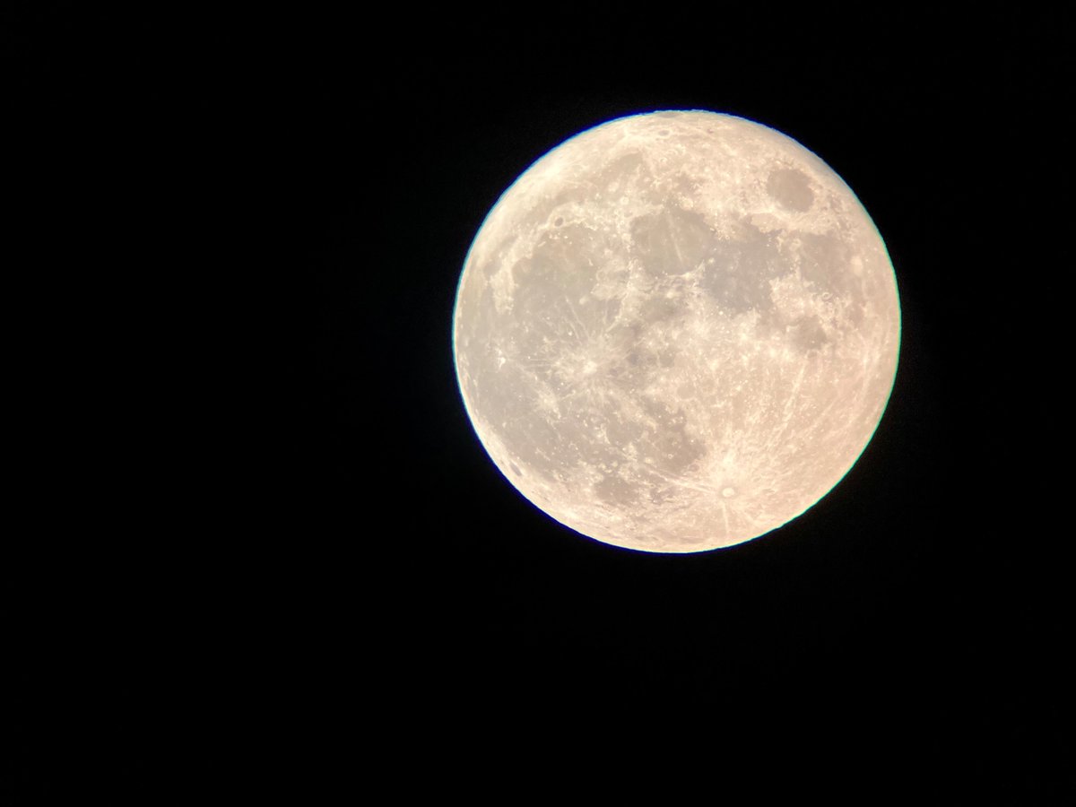 Caitlin Schneider tweet media