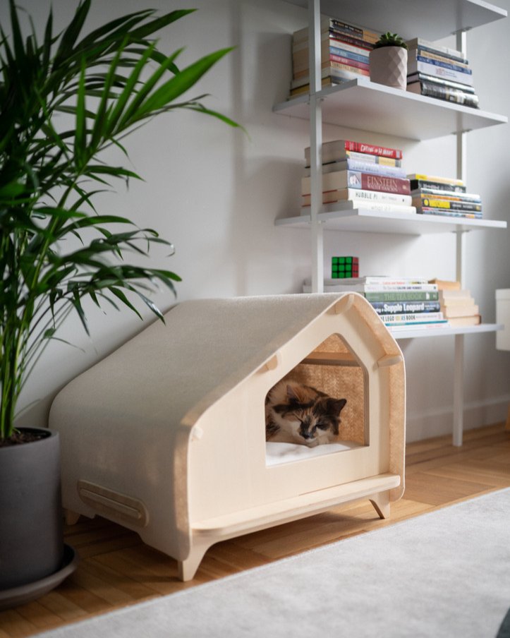rawrycat's tweet photo. The boss is hiding away in her cabin until Friday 🫣 https://t.co/l9Y4wlln7S