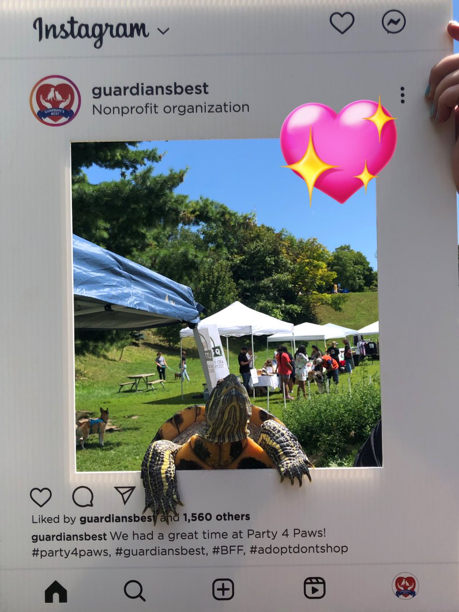 turtle_lady_CA's tweet photo. Turkey had such a great day at #Party4Paws. We can’t wait for next year!
#trinitybellwoods #turkeytheturtle #turtle https://t.co/k5OJHFRG7G