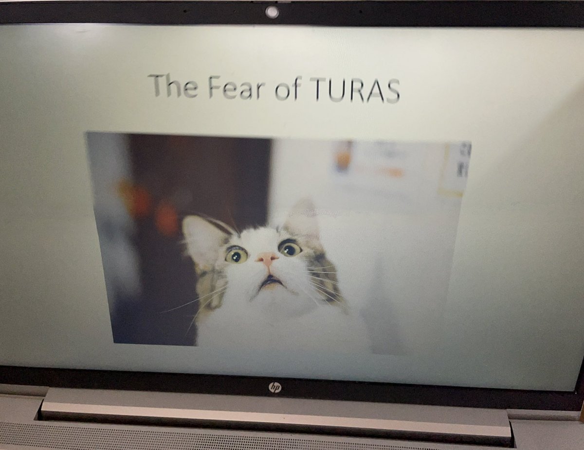 julie mcquade tweet media