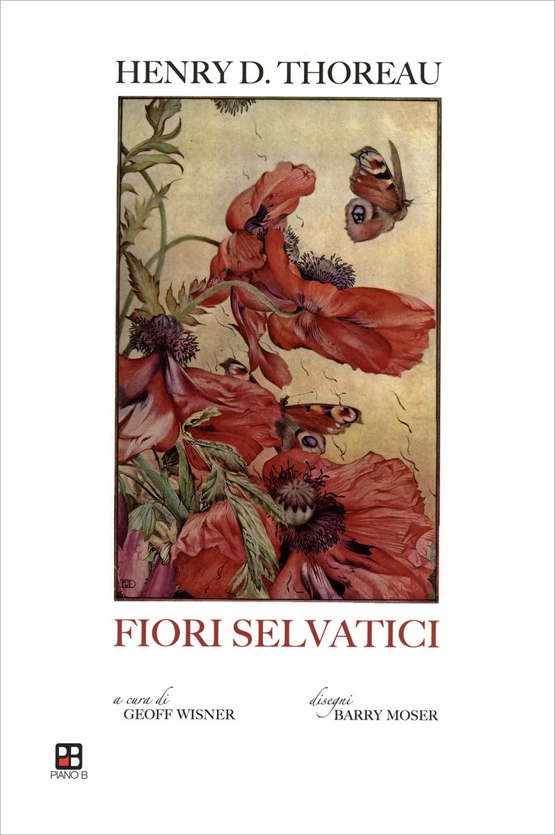liviopartiti's tweet photo. Un’ampia selezione degli scritti più belli di #HenryDavidThoreau (#traduzine di #LucaCastelletti) ispirati agli #alberi, alle #piante e ai #fiori
#FioriSelvatici
@ilpianob
Ascolta la #conversazione https://t.co/JWwhQHCFki https://t.co/o5Ivw1j1Oo